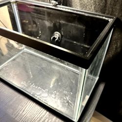 5 Gallon Aquarium 