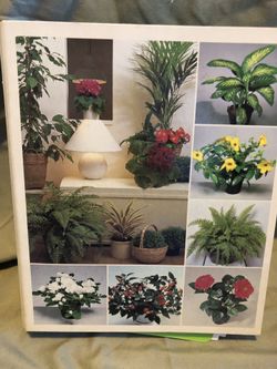 Success with House plants