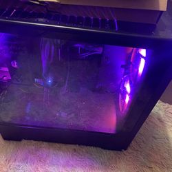 Apex Gaming Pc ( Look At Last Pic For Spec Details )