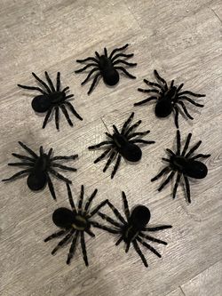 Halloween Spiders