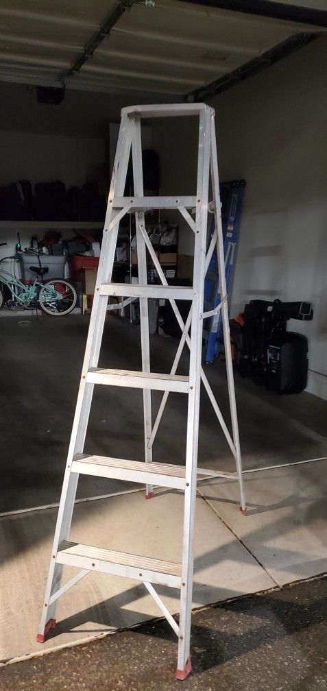 6 Foot Ladder