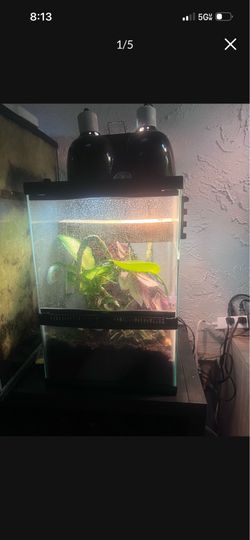 Reptile enclosure