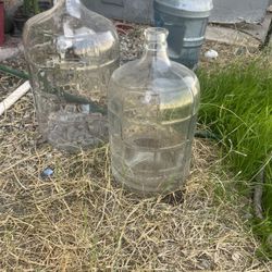 Carboys 3-6 Gal