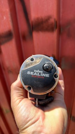 Daiwa reel