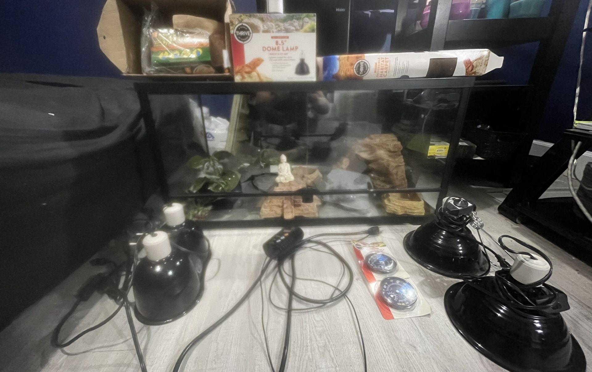 Snake Tank