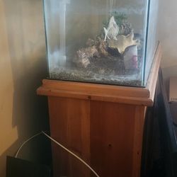 Fish Tank & Decor