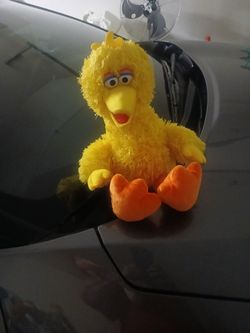 Big bird plushy