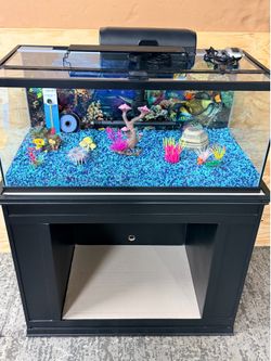 40 Gallon Fish Aquarium With Heavy Duty Stand
