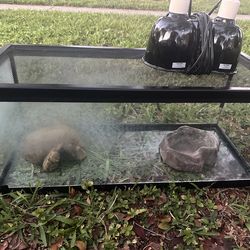 20 Gallon Long Terranium W/,Cave And Top!