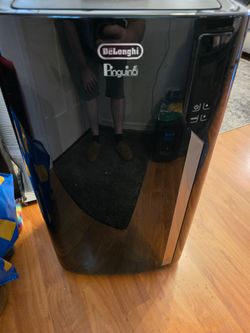 Delonghi Portable AC/Heat