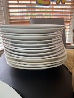 18 Big Plates - Used Plates - Mix of different brands