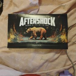 3.. 4 Day.. GA ..AfterShock Wristbands