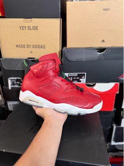 Jordan History of Jordan 6s Spizike size 9.5 VNDS