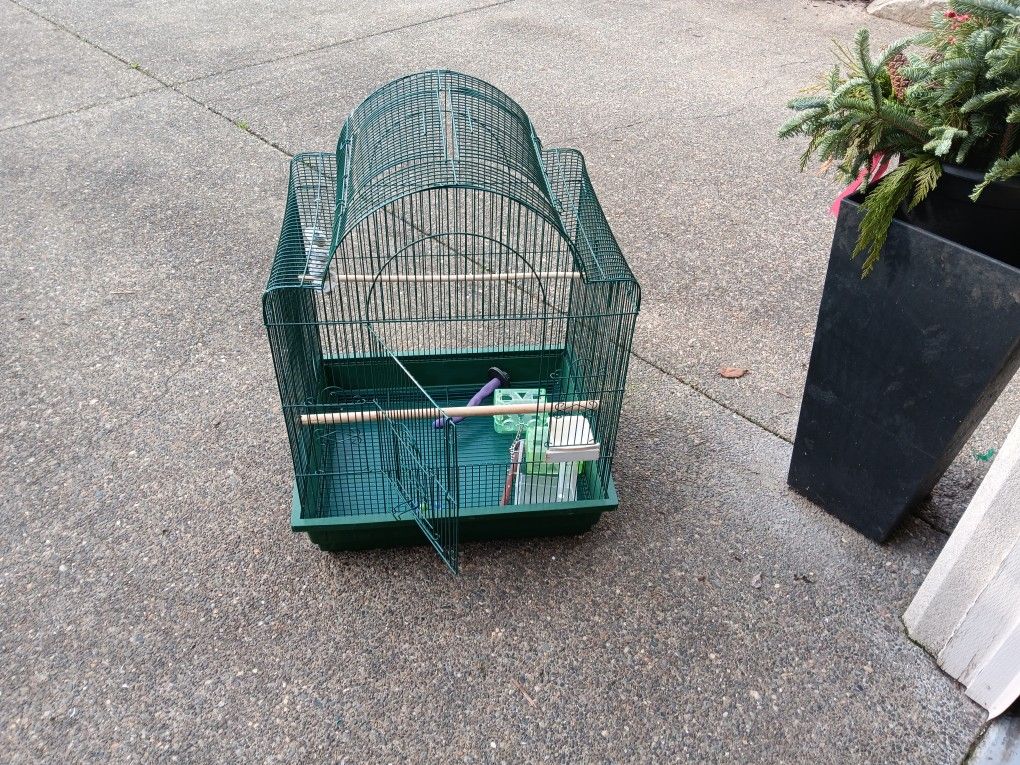 Bird Cage