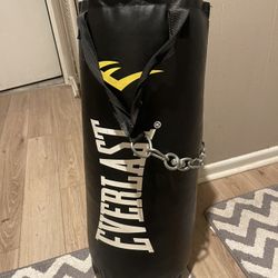 50lb Ever last Punching Bag 