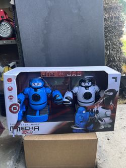 Fighting Robots