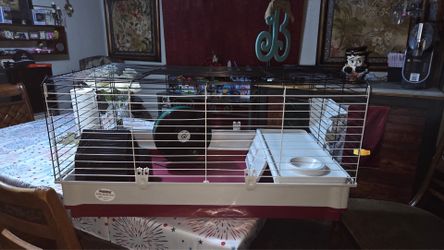 Animal cage
