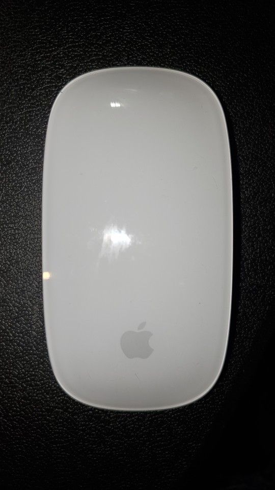 Magic Mouse 2