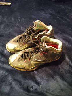 LeBron shoes