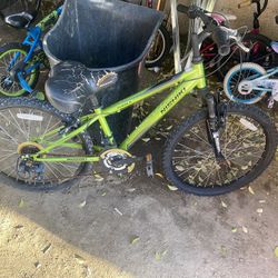 24 Inch Bike 