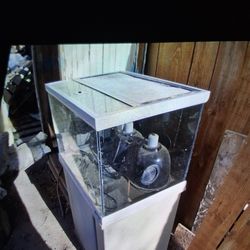 Reptile Tank With Heating Lights And Rock
