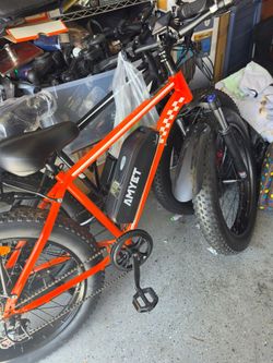 Electric ebike