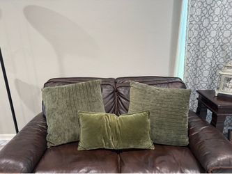 Green sofa willows