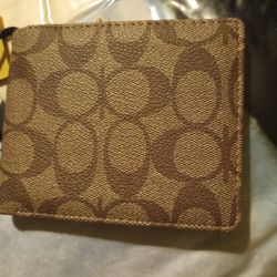 Men Wallet 
