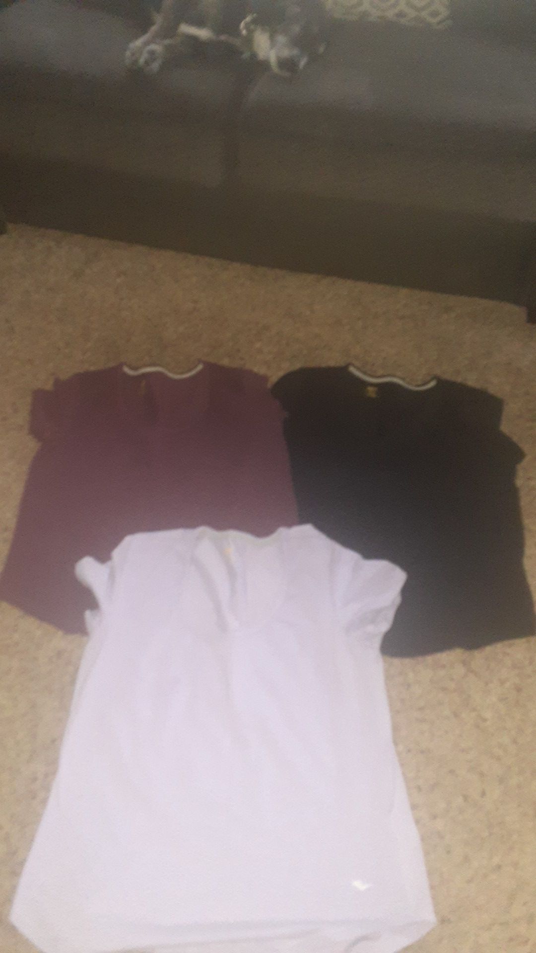 Ladies Everlast Tees All Size Large $4 each