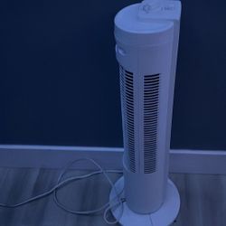 Fan 