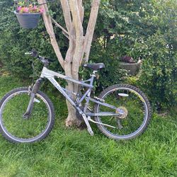 Schwinn Bike