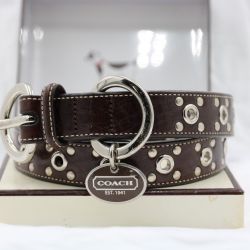 Vintage Coach Collar And Leash Set, Extra Large Studded Collar, Brand New