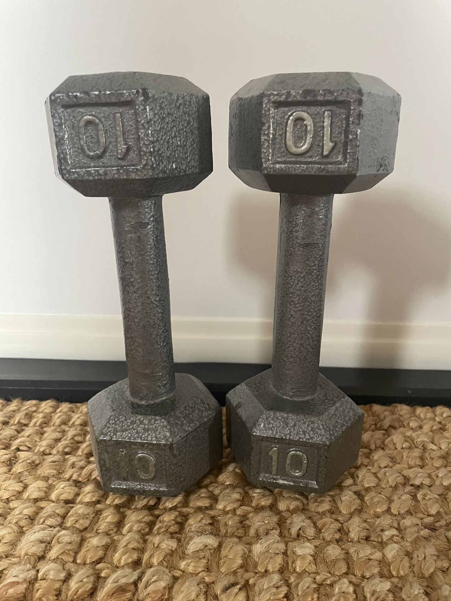 10lb Weights Pair