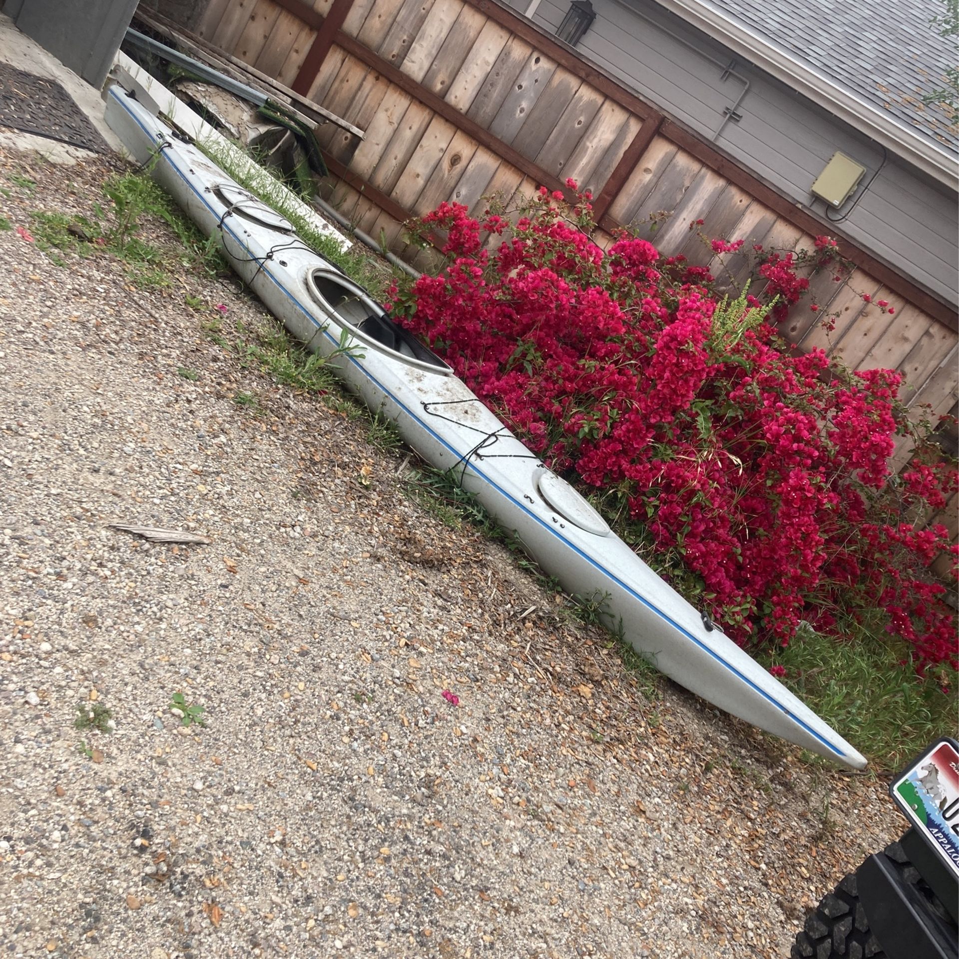 Kayak Necky Narpa W/ Rudder