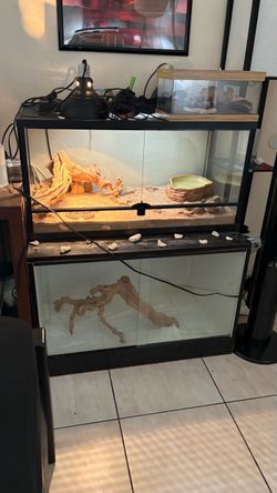 Reptile tank