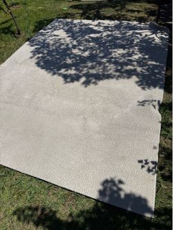 Cream rug