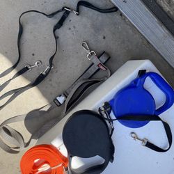 Dog Leashes 