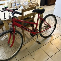 Murray Bike 
