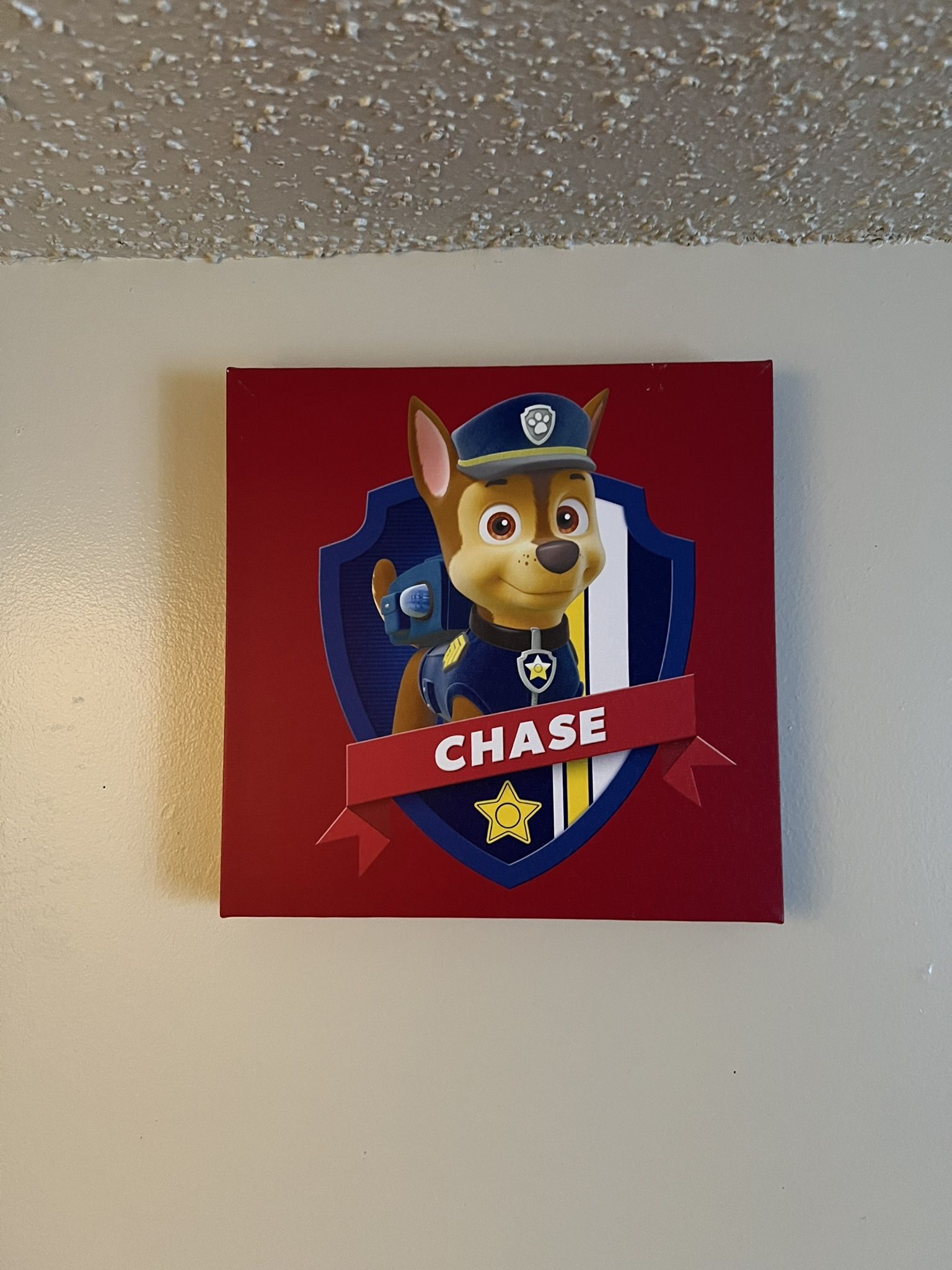 All Paw Patrol Item