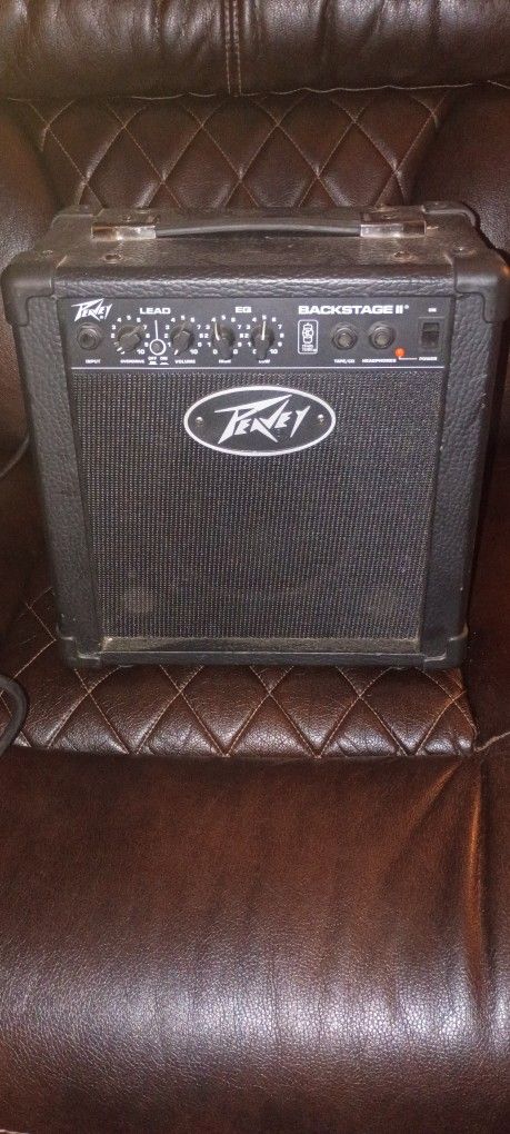 Peavey Speaker Amp