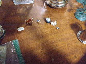 Nuevos