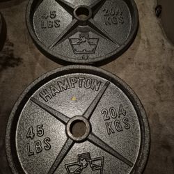 Hampton 45lbs Weights 