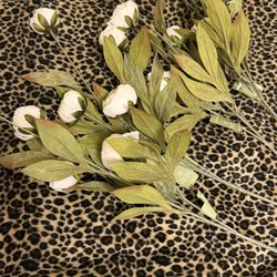 4 Ashland Peony Stems