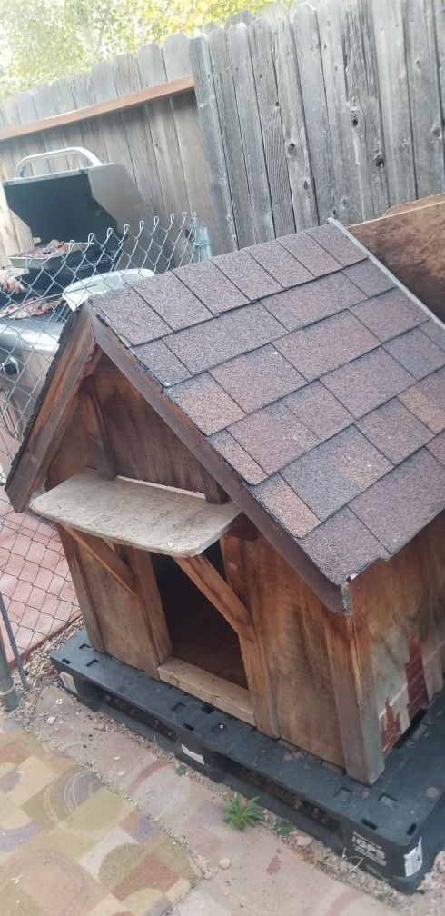 Dog House 