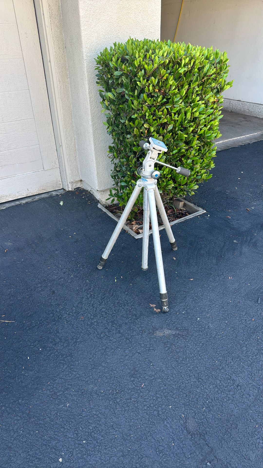 Vivid Professional Tripod