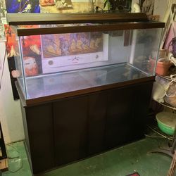 75Gallon Tank with Stand, Accessories , and 20 breeder tank.
