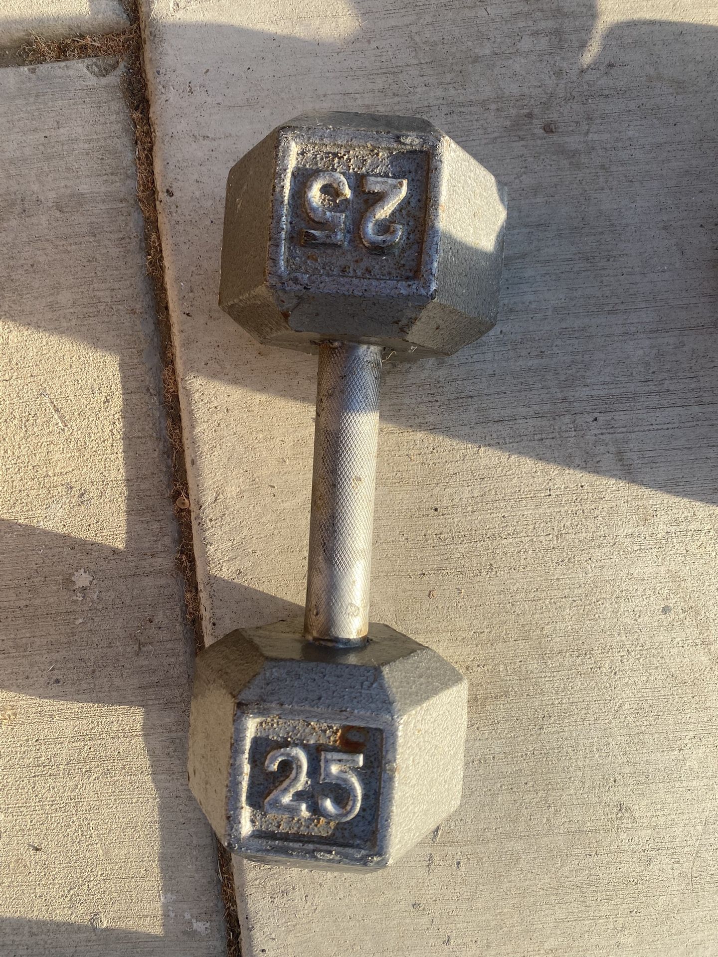 25 Pound Dumbbell Single