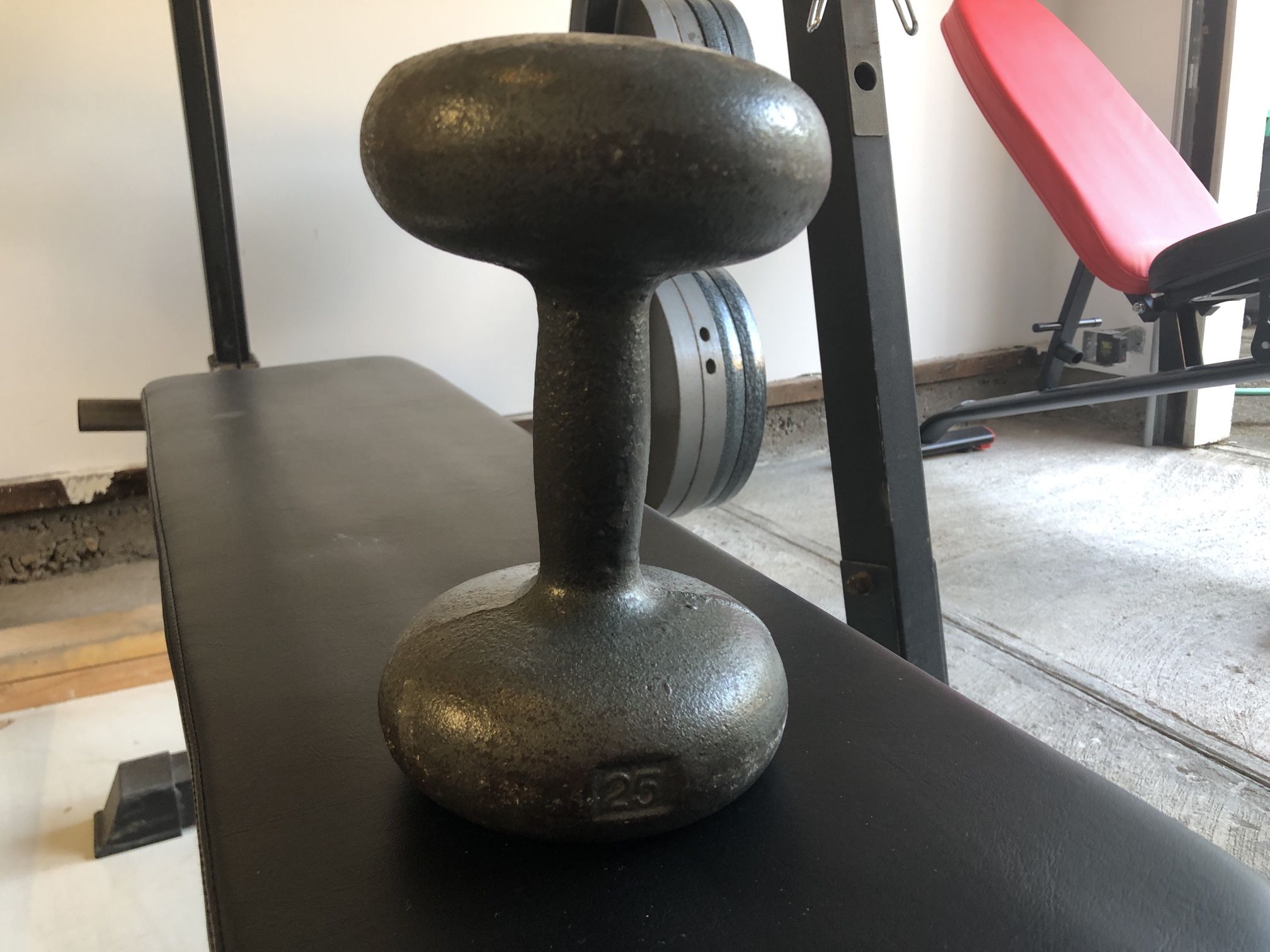 25 Pound Dumbbell