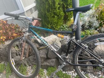Diamond ascent 1.0steel fs