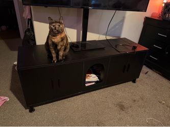 Double hidden cat litter box